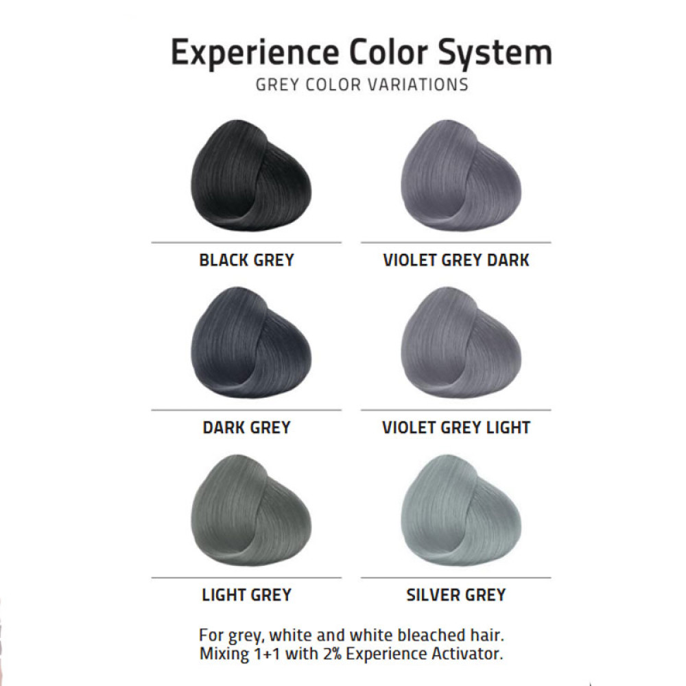 Hair Dye Experience Dark Grey