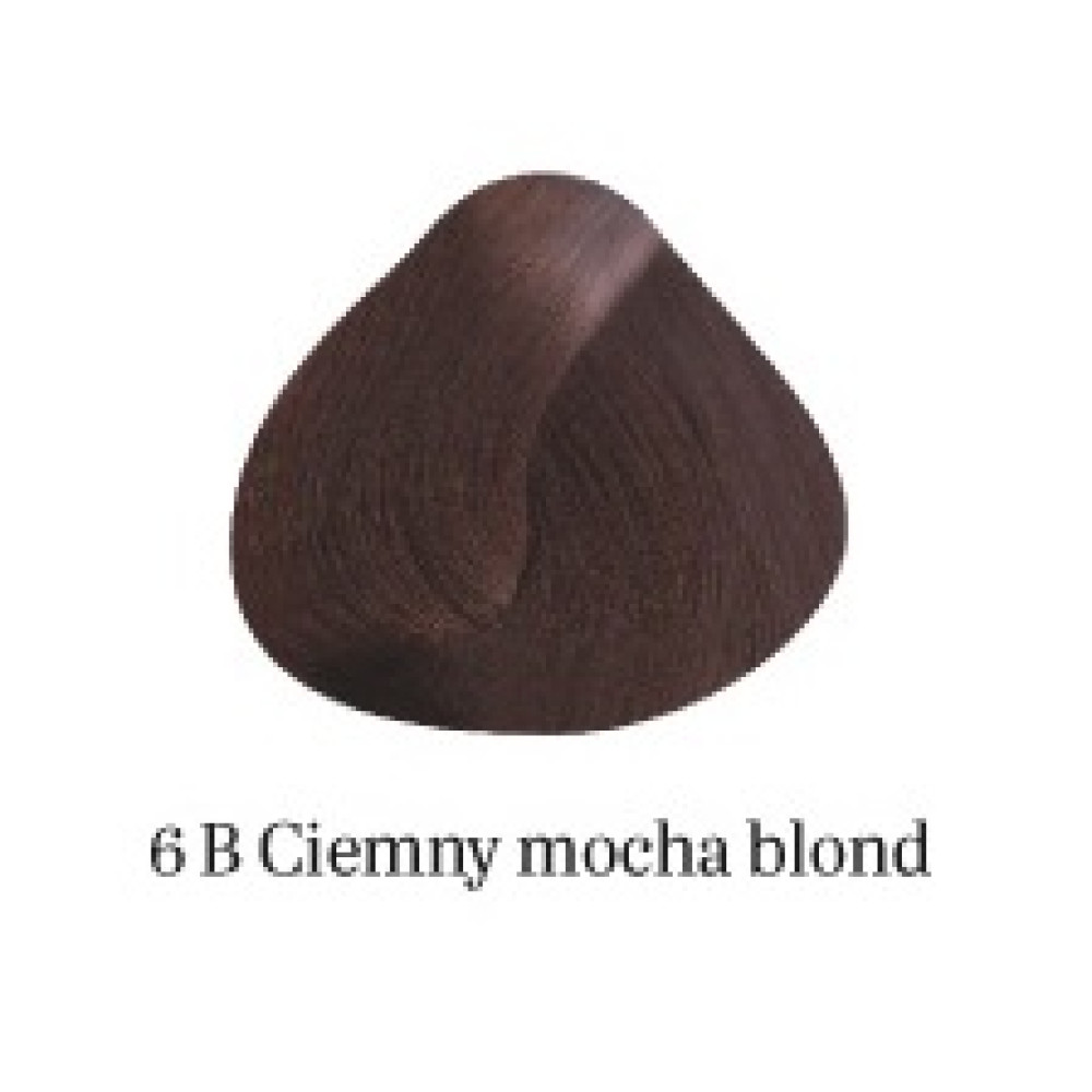 Hair Dye Experience nr. 6B